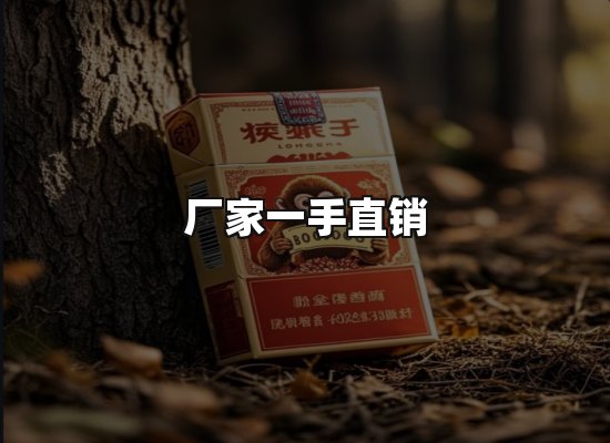 专业优势